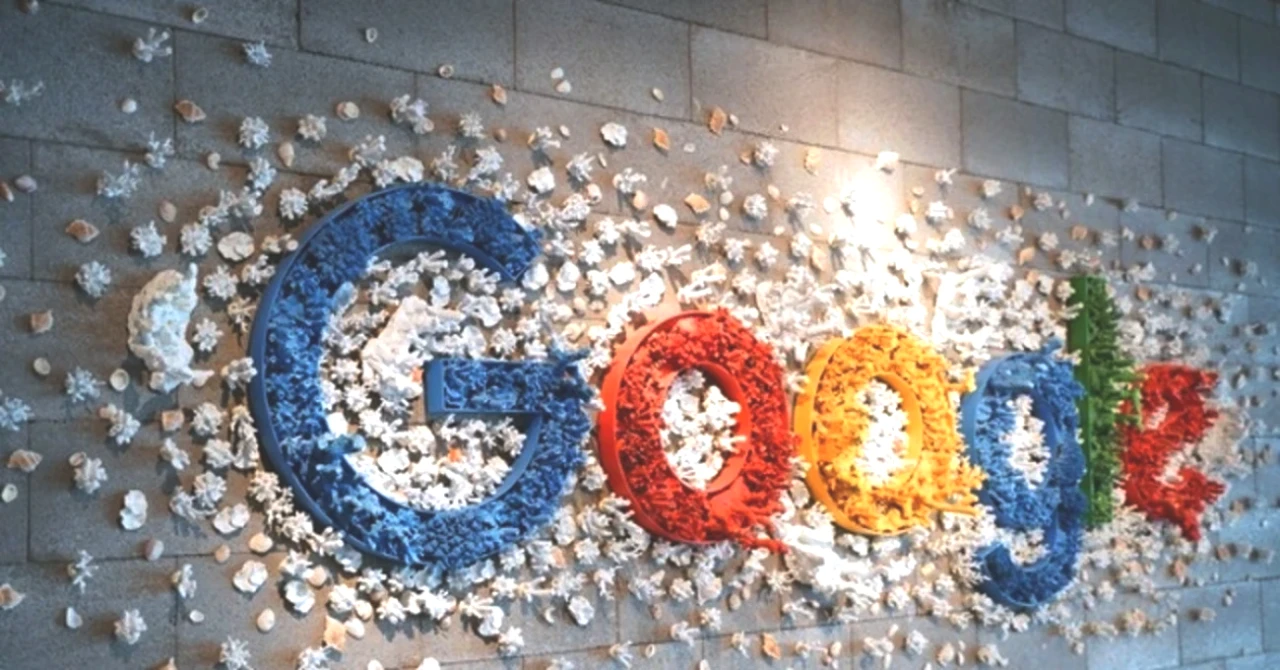 Google Analytics ve Search Console Erişilemez Hale Geldi! İşte Sorunun Nedeni ve Çözüm Süreci