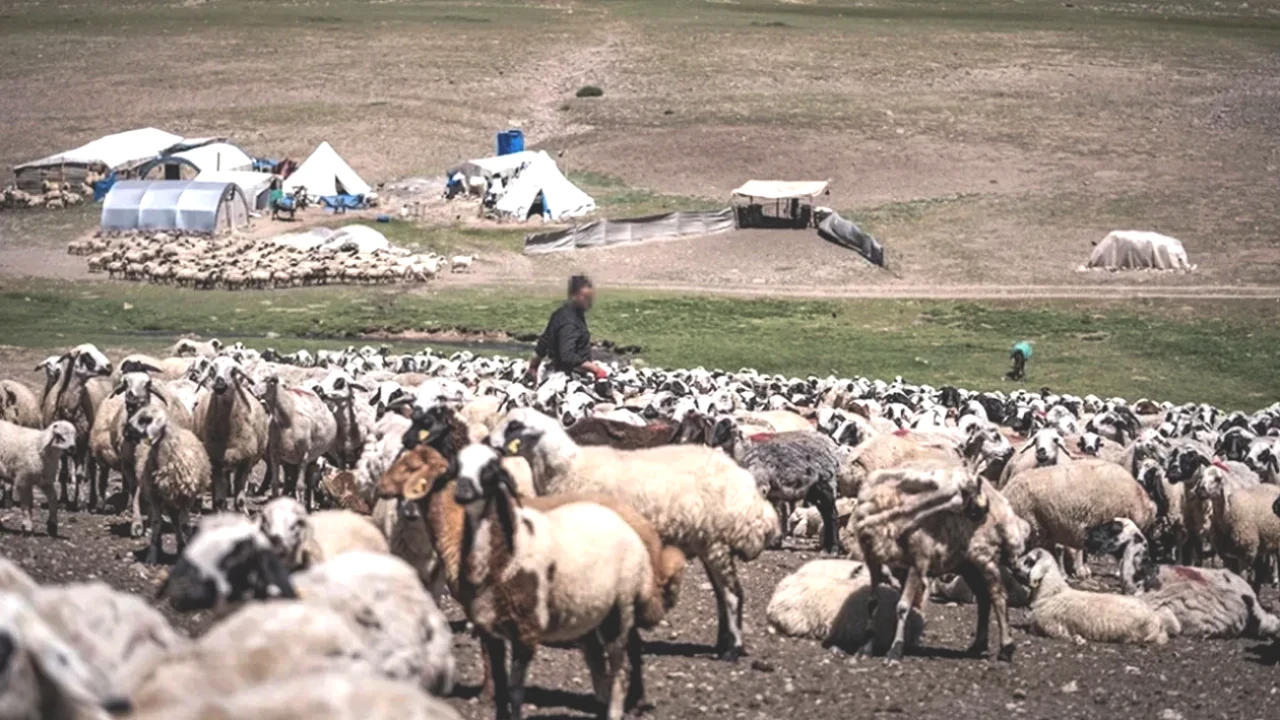 Yaylada Şok Olay! Baba ve Oğlu İkili Trajediyle Hayatını Kaybetti